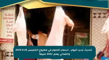 📊 تحديث جديد اليوم.. أسعار اللحوم في مطروح الخميس 28-8-2025 والضاني يصل لـ450 جنيهاً